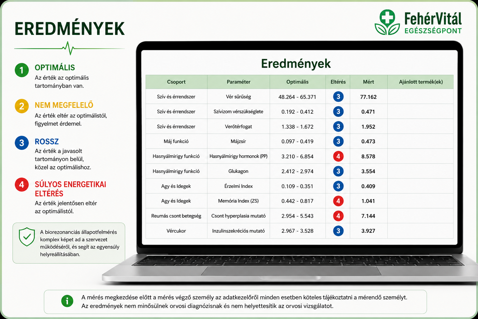 Biorezonanciás állapotfelmérés – az eredmények áttekinthető megjelenítése és az energetikai eltérések értékelése.